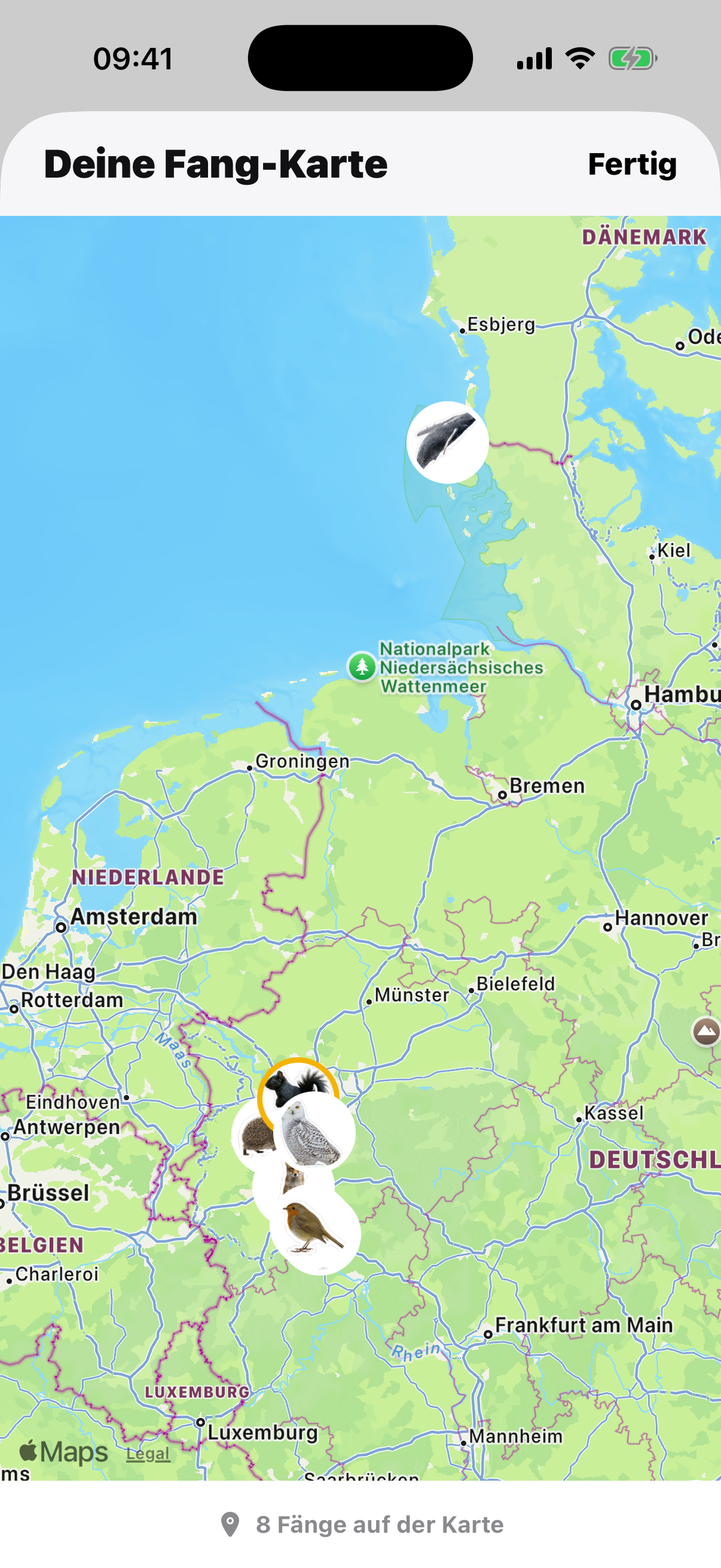 Echter App-Screenshot der Fang-Karte mit Sticker-Pins auf der Landkarte